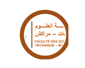 Partenaire 6 Light Business & Service